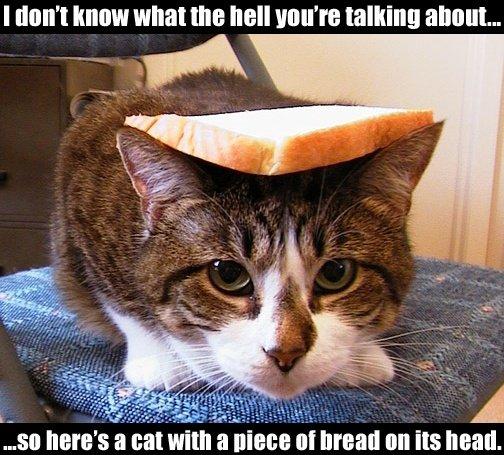 image: Breadcat