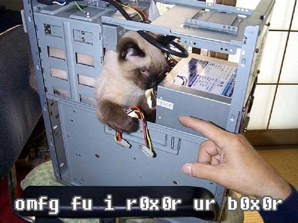 Computer%20Kitty.jpg