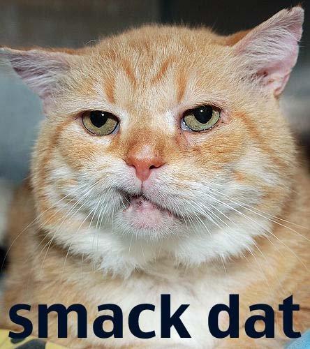 image: Smack