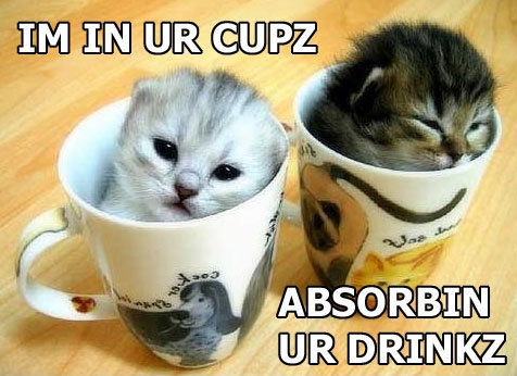 absorbin-drinkz