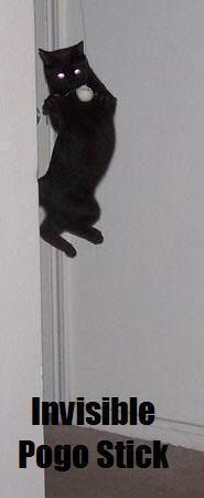 boing-boing