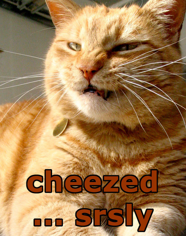 cheezed.jpg