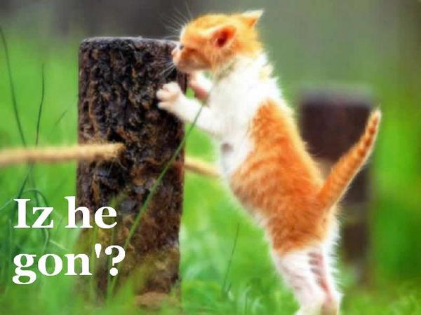iz-he-gon