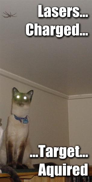 lasers-charged-target-aquired