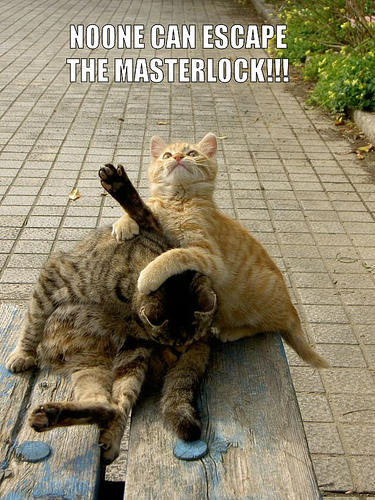 image: masterlock