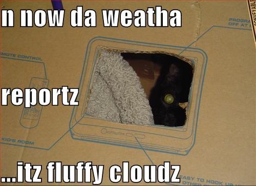 n-now-da-weatha