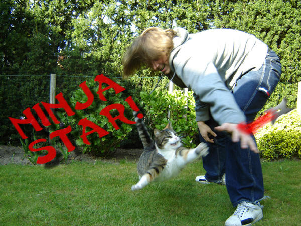 ninja-star