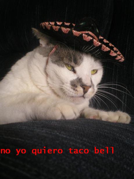 no-quiero-taco-bell.jpg