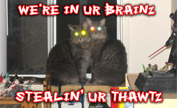 [http://www.dropline.net/cats/images/thawtz2.jpg]