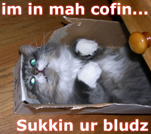vampcatcaption