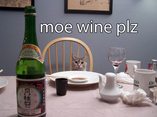 zoe-wants-moe-wine.jpg