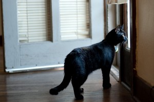 Elliot checking out the neighborhood 