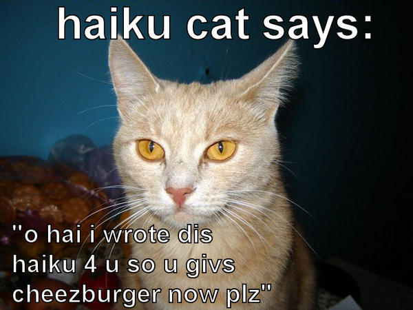 [Image: haiku-cat.jpg]